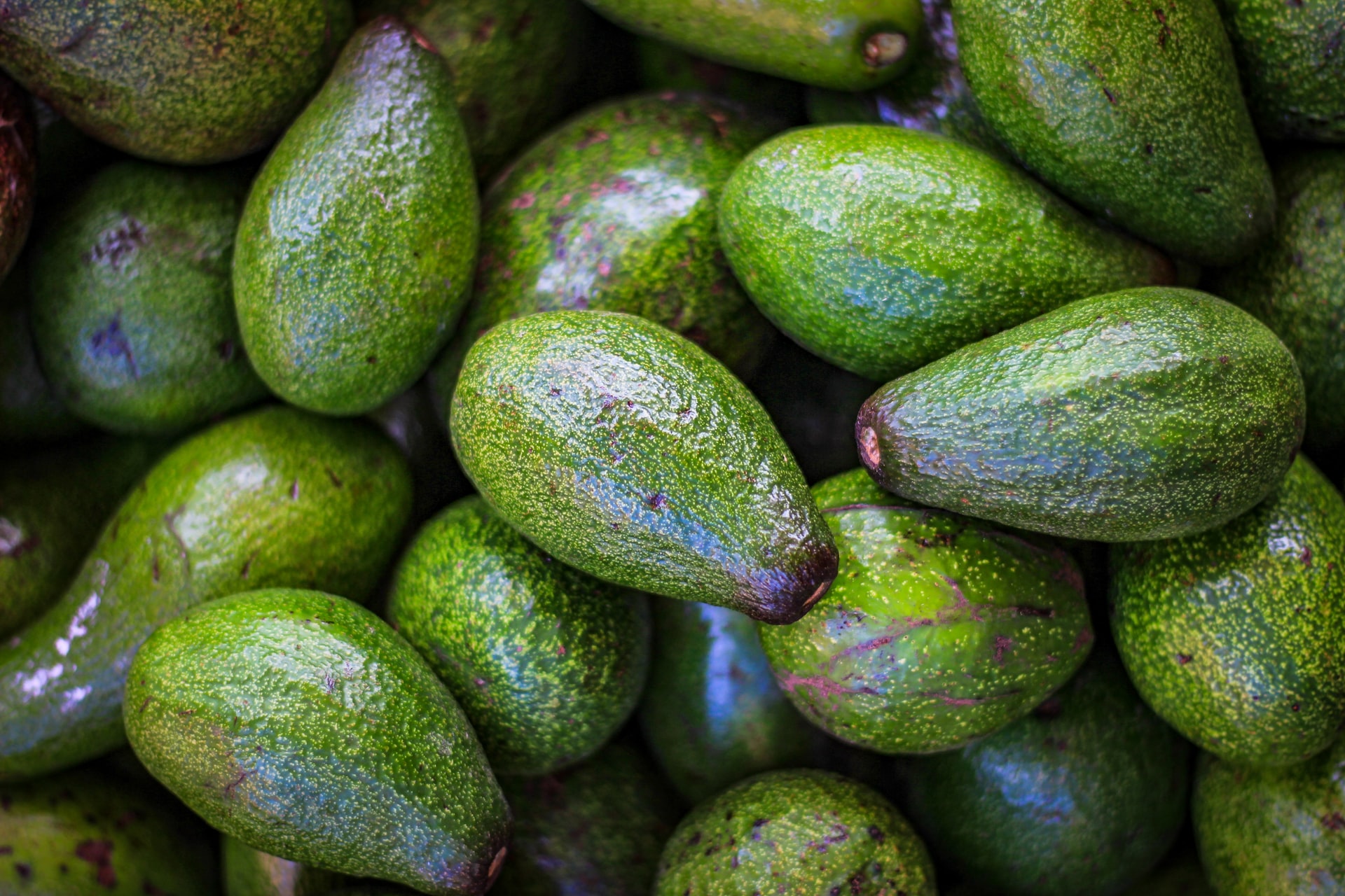 Как правильно выбрать авокадо🥑 | invme
